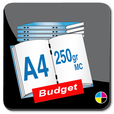 Toon details van Brochures A4 250 gr MC gesatineerd BUDGET
